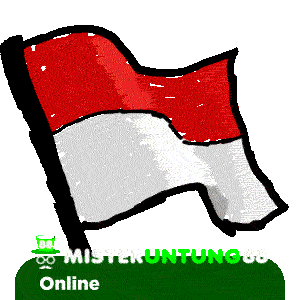 Live Chat